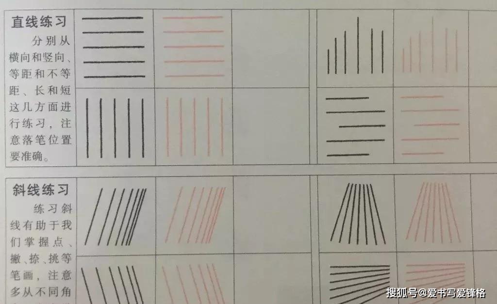 小学生练字前的控笔训练初学者必备让练字事半功倍