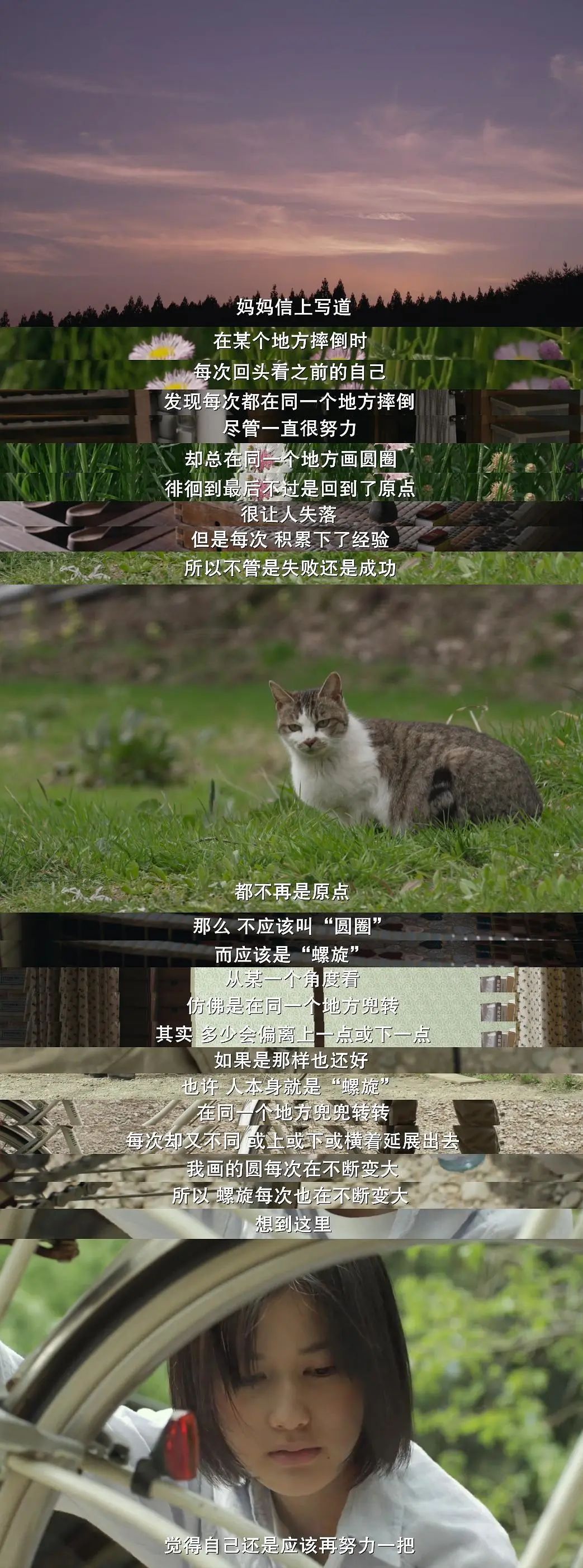 一口气推荐30部治愈系电影清单