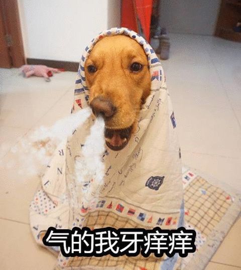 0a0490f381bd4002a9cfec7b185f62df.jpeg