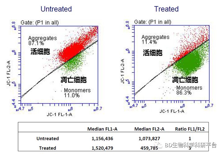 【流式"新生"秘笈】流式通关第四式—细胞凋亡_caspase