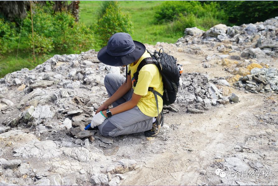 在山和海之间——2019年7月挖宝记