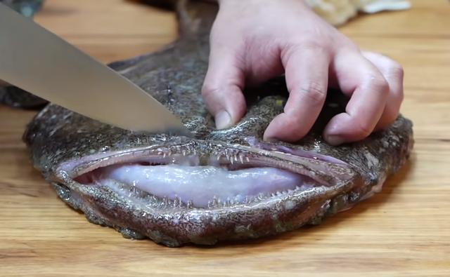 从小就在书中见过的海鬼鱼,长这么可怕也能吃?又该怎么吃?