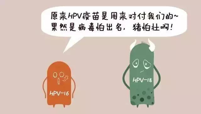 18ec6219ac2f4a1bb8a6d5e2aa2475f6.JPG