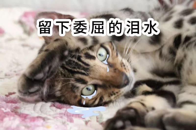 叶檀：让科学家暴富或者吃不上饭 都是“犯罪”