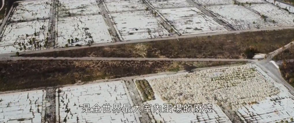 美国导演转行当农民，花了10年改造1200m²荒地，前后变化令人震惊