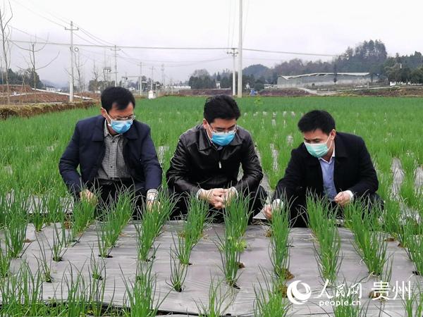 贵州农业人口_贵州农业职业学院(2)