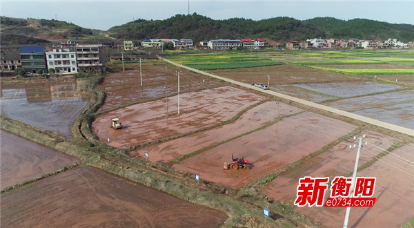 耒阳市遥田镇人口数量_耒阳市遥田机场(2)