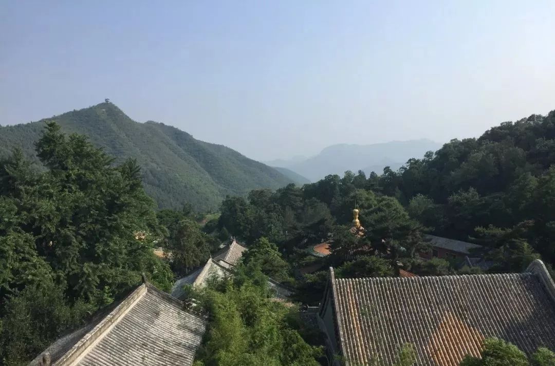 ���������ɫС���ŷ�޾�����