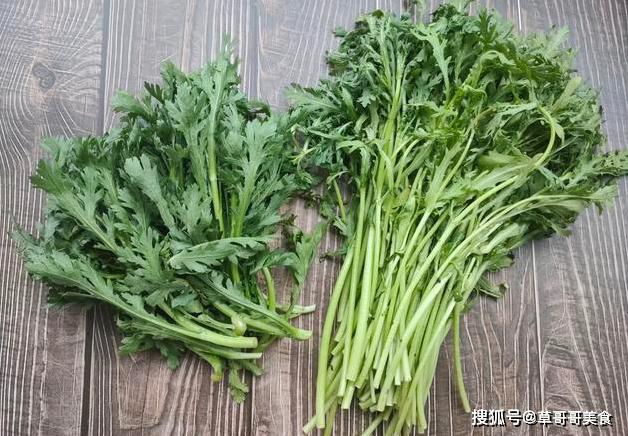 茼蒿是不是菊花菜?如果不是如何区分,茼蒿家常烧法,简单易上手