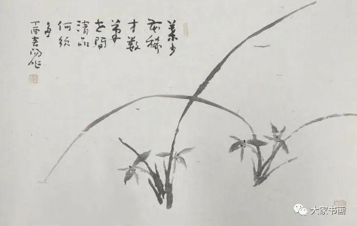 疏笔横斜香益远霍春阳教授讲解画兰及作品欣赏