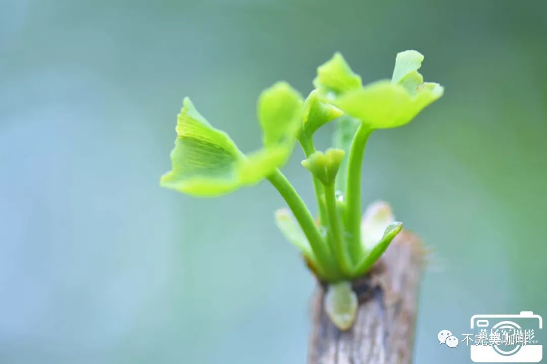 春天来了,你准备好了吗?