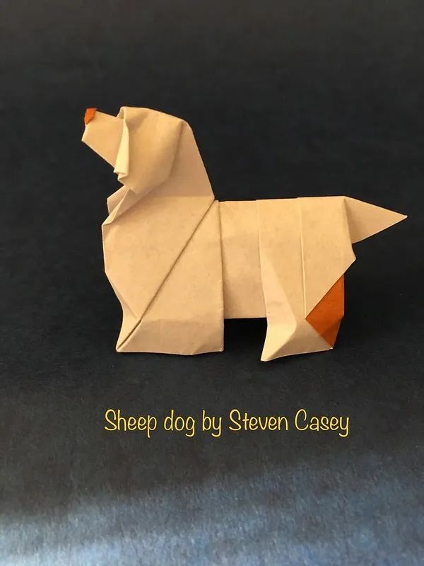 一张纸,折出一只小狗!折纸入门教程!