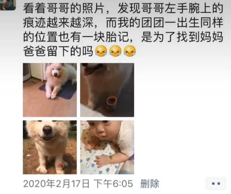 狗狗离世前狂舔左爪，宝宝出生后才知道....