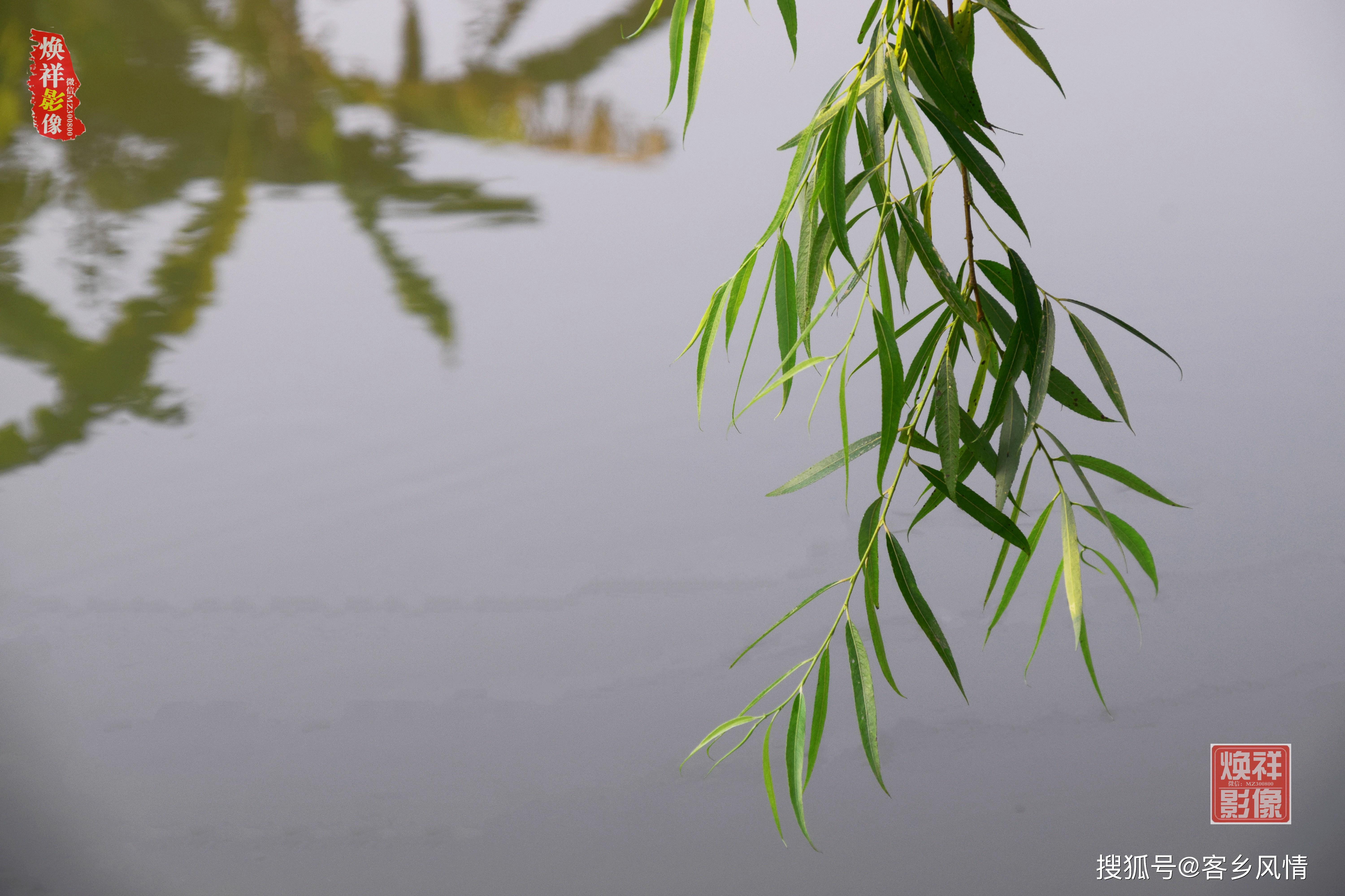 这无尽的繁花,是春天最美的裙装.