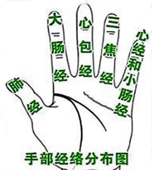 9d9e2cc9bcd84a61bdb12e32e9fbb7cd.jpeg