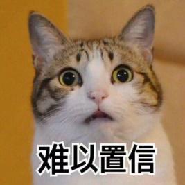9e56acc9f7474fe08b626d27e4c994c9.jpeg