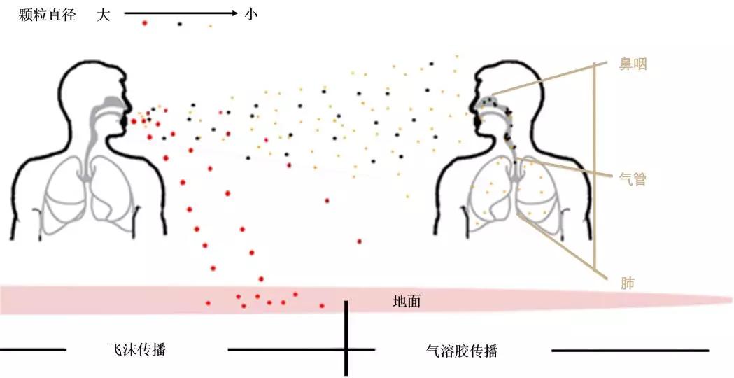 口腔疾病诊疗与气溶胶的那些事