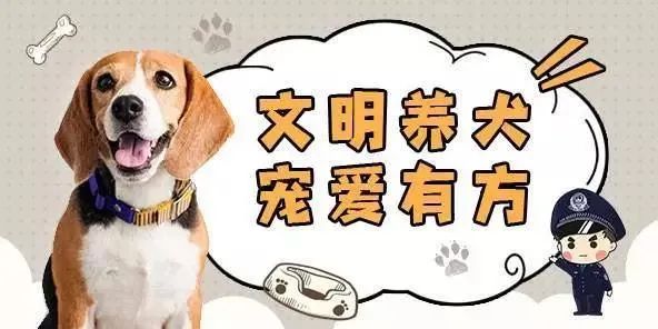 【温州属于高峰期吗疫情,温州养犬管理规定】