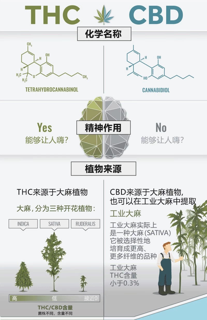 自然束科普课堂:cbd vs thc傻傻分不清?_大麻