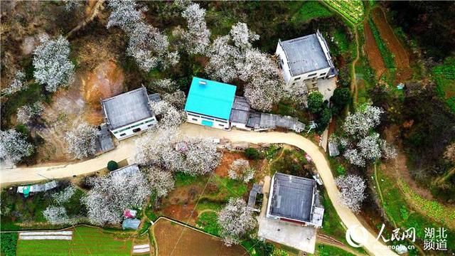 十堰市郧阳区2020年G_十堰市郧阳区实验中学