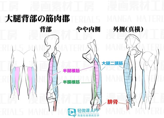 怎么变成漫画腿的教程 cc5060f3dd4e459f9206f62d843101e3.jpeg