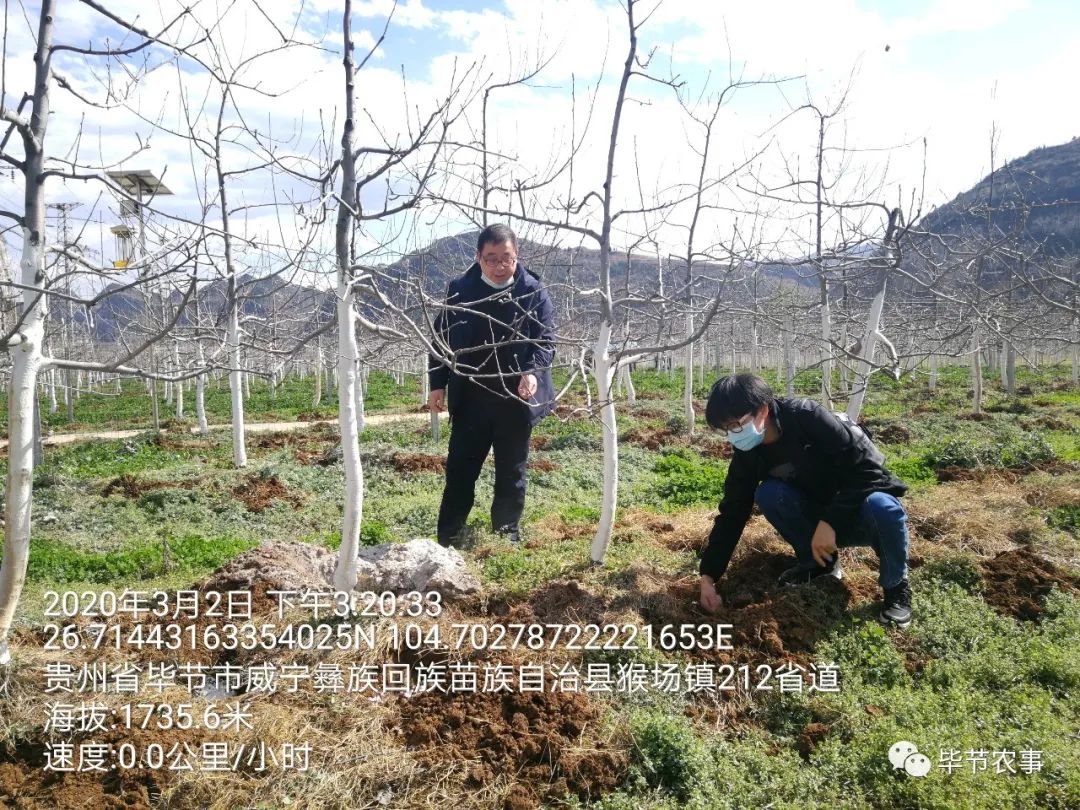 威宁农业人口_威宁草海图片(2)