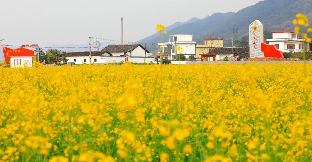 仁化县董塘镇安岗村第二批(21个:武江区:江湾镇梁屋村曲江区:小坑镇