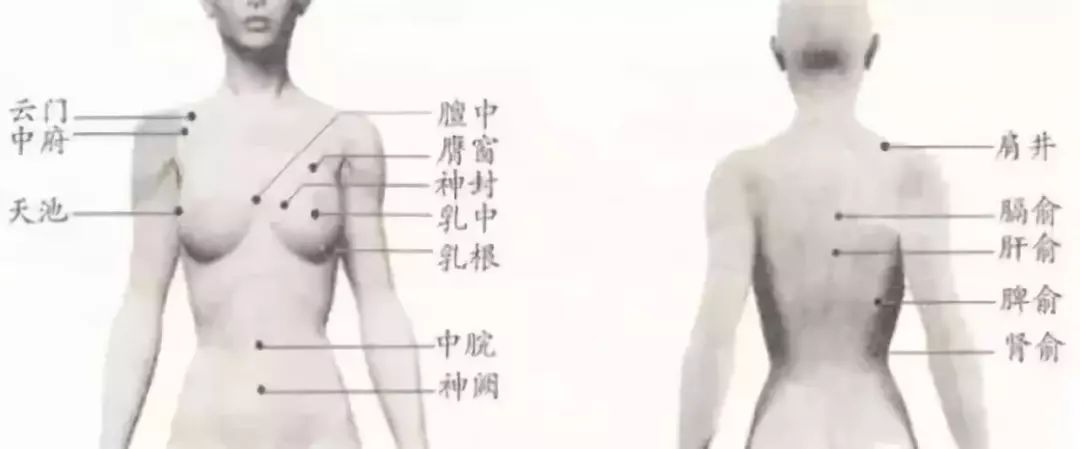 穴位: 膻中,乳根,乳中,天池,神阙,膺窗,神封,中脘,脾俞,膈俞,肝俞