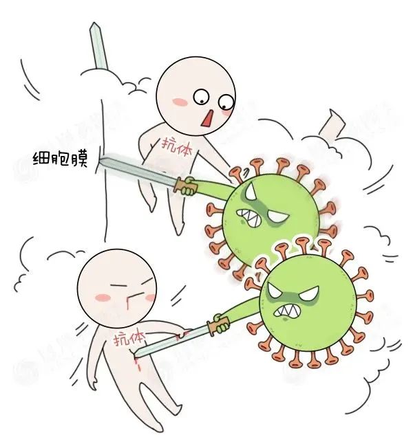 漫画解析:被新冠病毒感染后,身体会怎么反击?