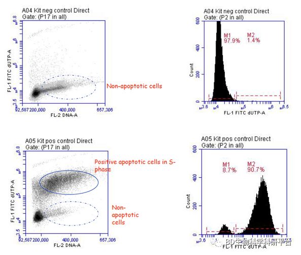 流式新生秘笈流式通关第四式细胞凋亡