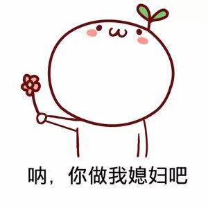 撩妹表白表情包:你能收下写着