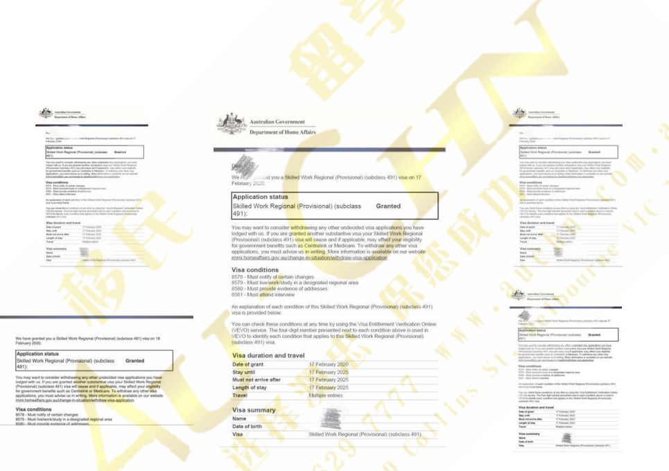 单倍群Q人口_世界y单倍群人口分布(3)