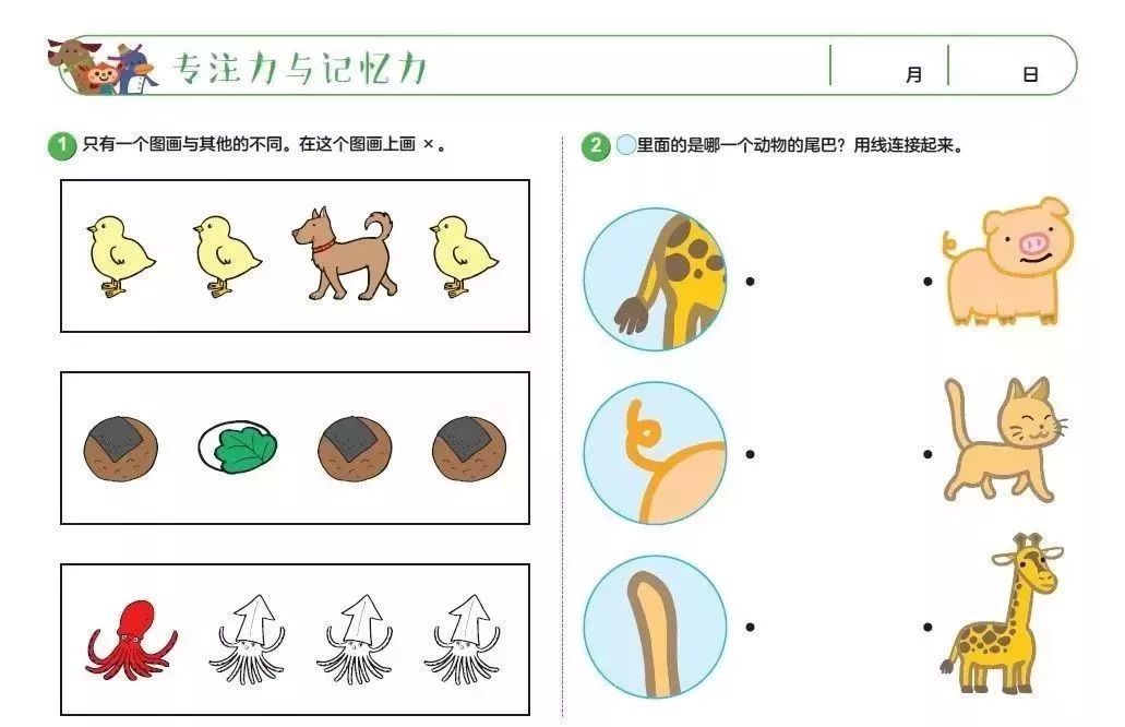 提升学龄前孩子专注力与记忆力,培养数学与逻辑思维能力的《七田真全