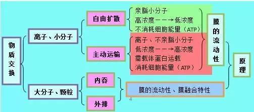 糖的鉴定原理_(二)g6pd/6gpd比值法诊断   1.检测原理及流程:   g6pdd新生儿疾病筛查阳性时,酶学水(2)