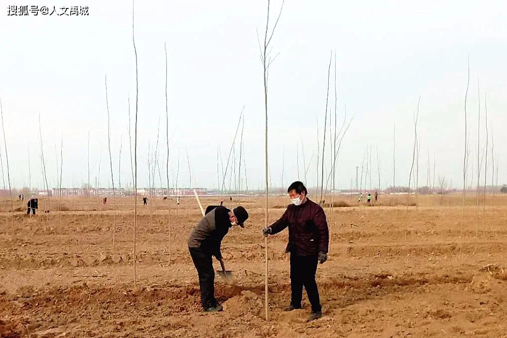 房寺镇经济总量_房寺镇