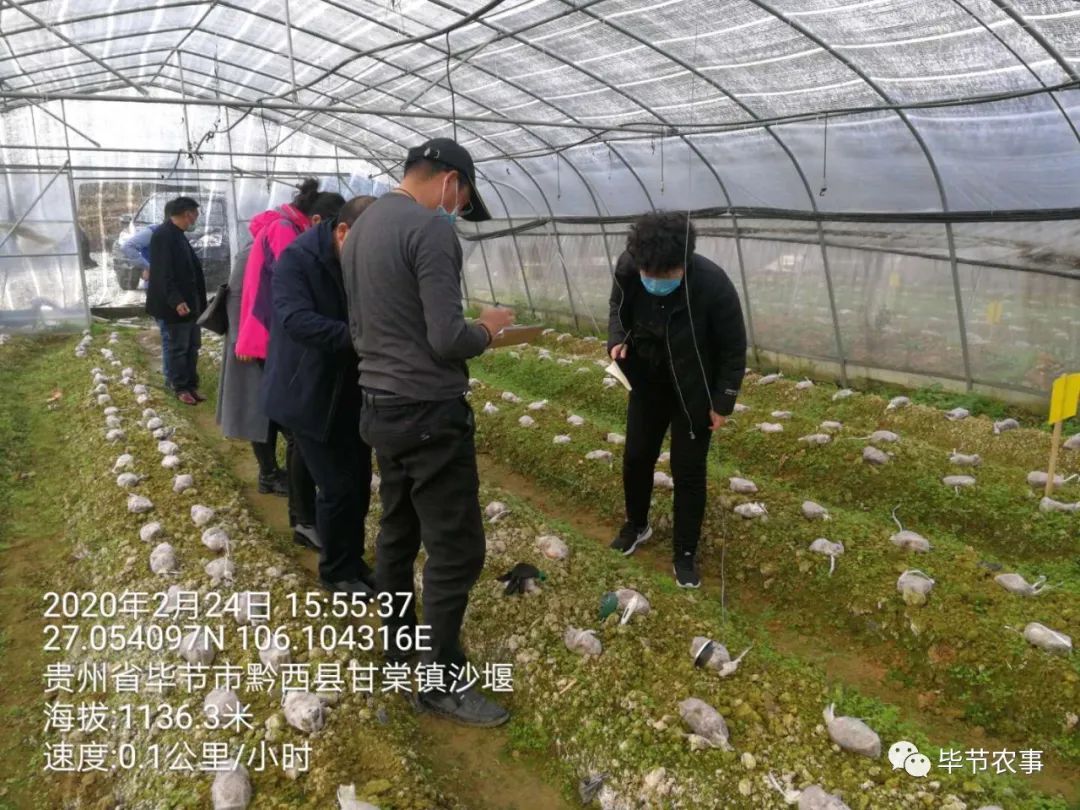 苹果县多少人口_夏朝有多少人口(3)