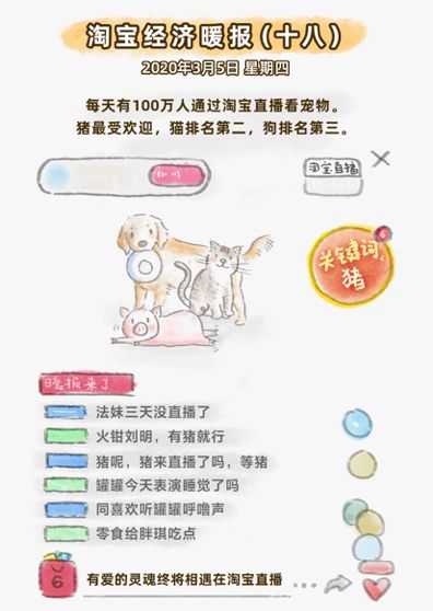 淘宝：2月宠物直播场次增375%，“猪直播”最受欢迎_金毛和