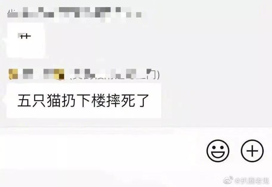 全球首例狗狗確診感染，最可怕的事情來了：人類，求你別再造孽了 寵物 第9張