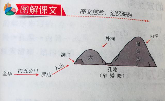 原创小学生语文学习提前备课四年级下第17课记金华的双龙洞边学边提高