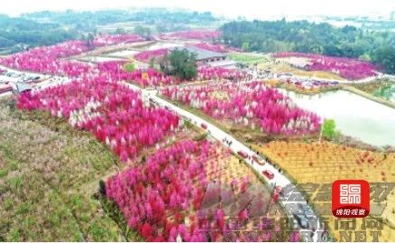 去百花乐园春游063月"玩转猫儿沟 幸福在安州"乡村美食狂欢节,光是