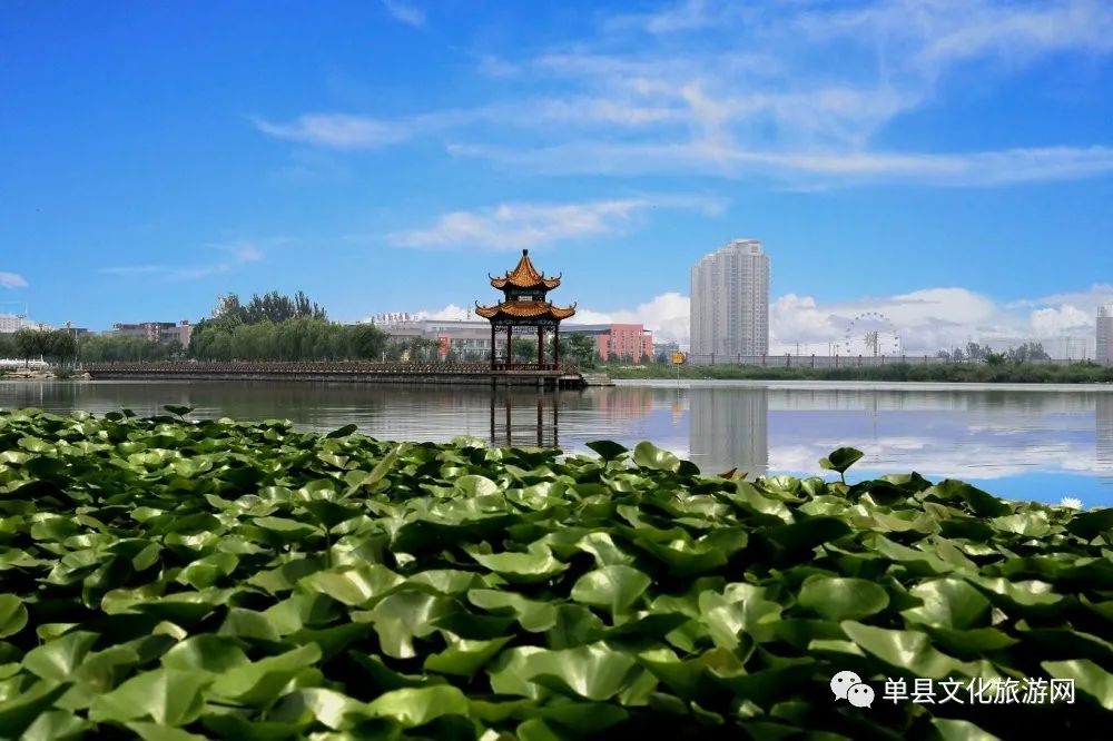 好客山东游我助力春暖花开我在单县等你