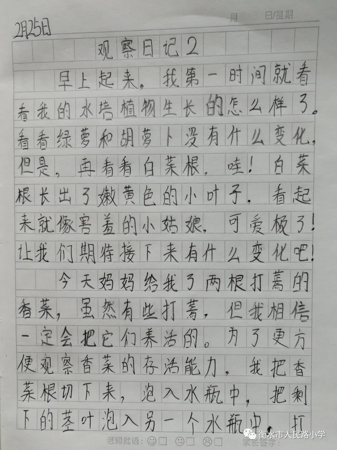 每日心得体会分享 24612de11a5b4f2f8794a8d2352f3c2b.jpeg