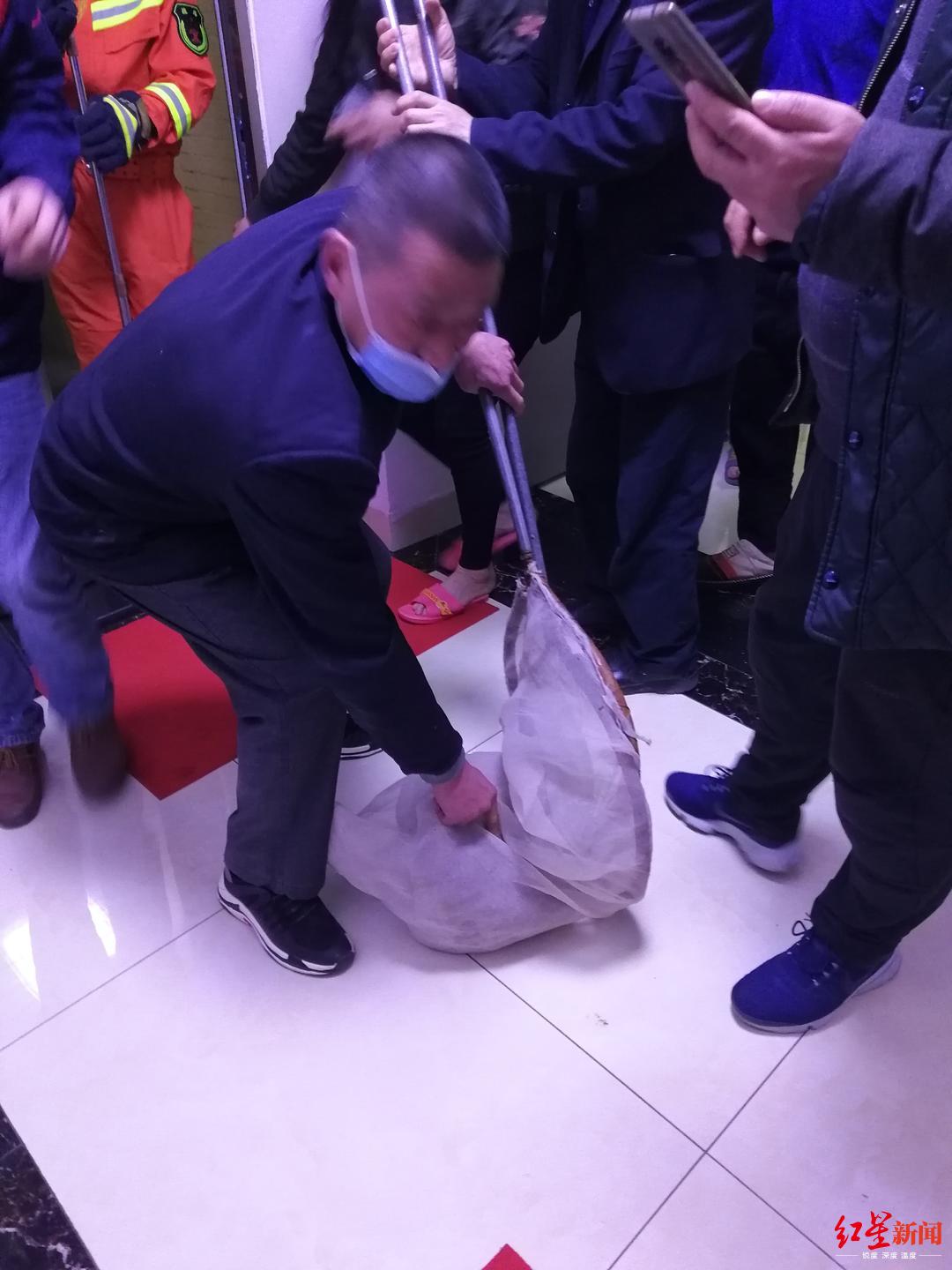 “大师兄”闹腾拉菲小区 飞檐走壁10天被活捉