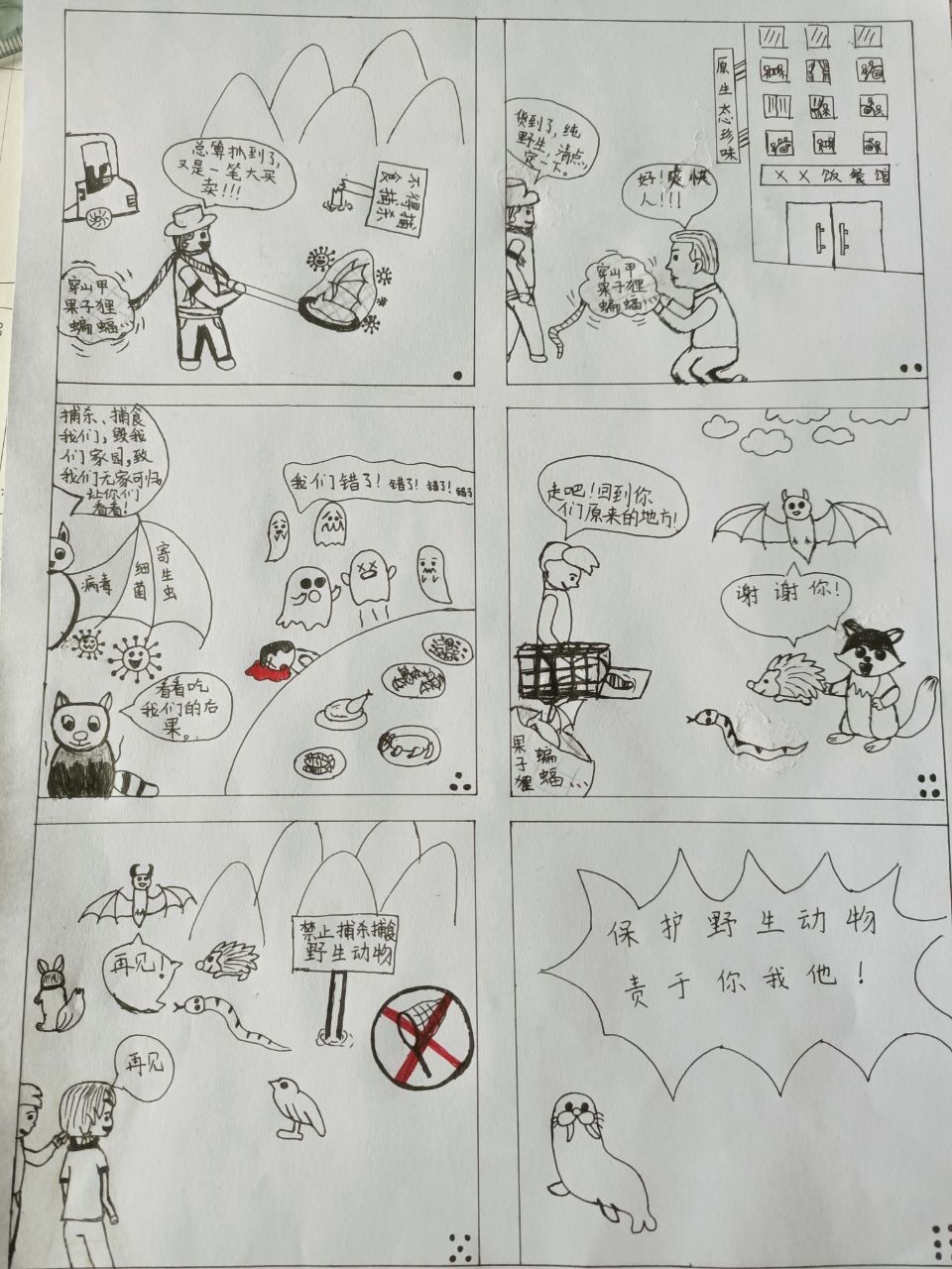 野生动物保护法漫画大赛决赛开始