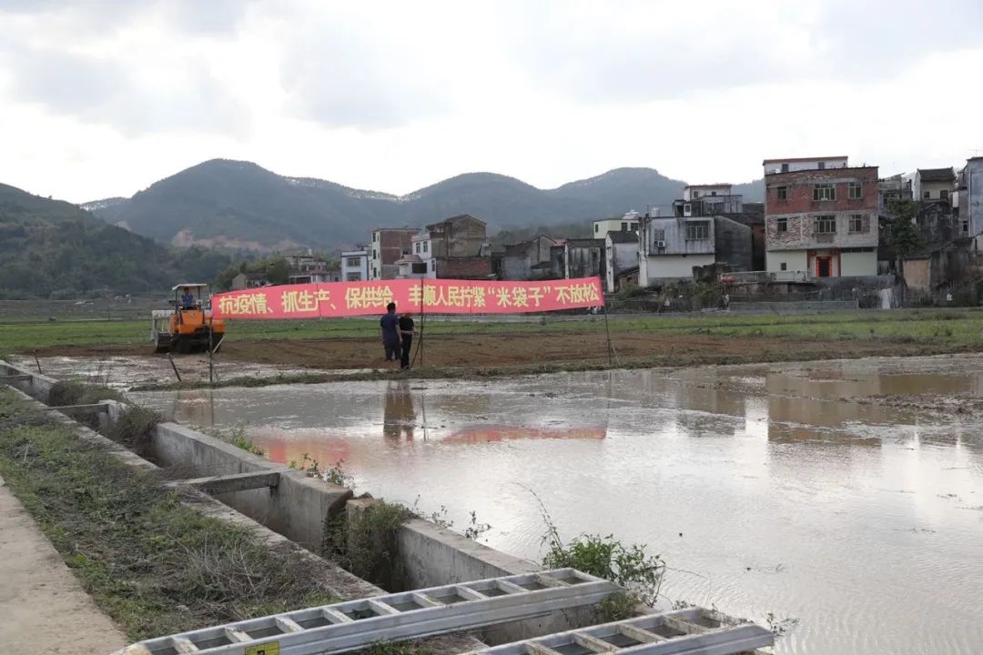 丰顺gdp_丰顺大宝山旅游景区(3)