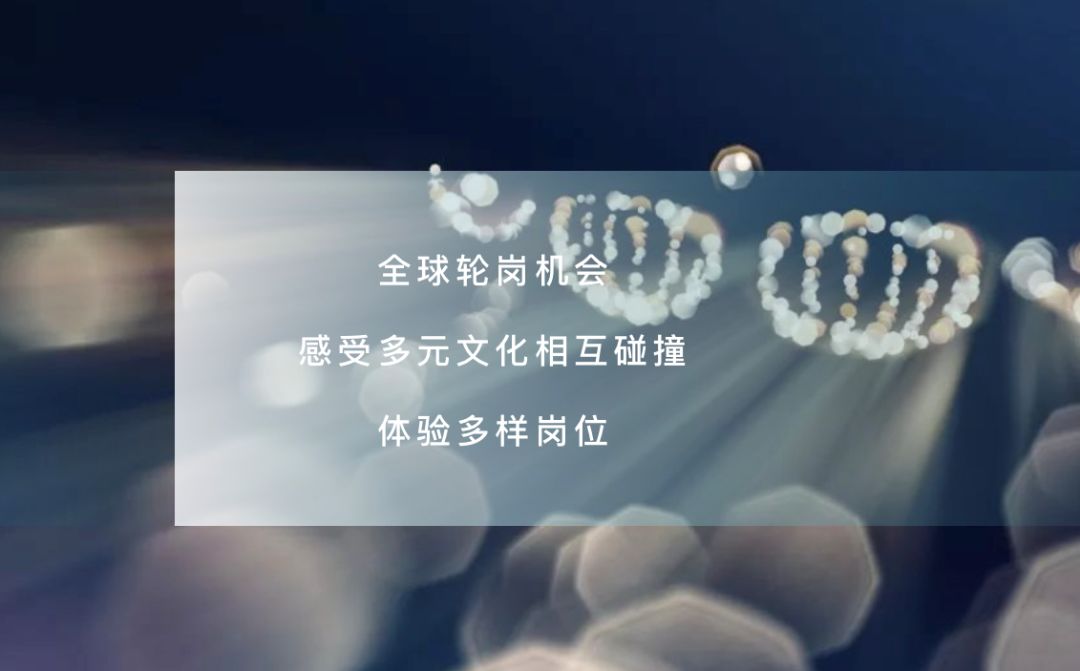 管培生“内幕”曝光：“管培生=轮岗打杂？50%离职率！不是所有的管培生项目都值得进！(图16)