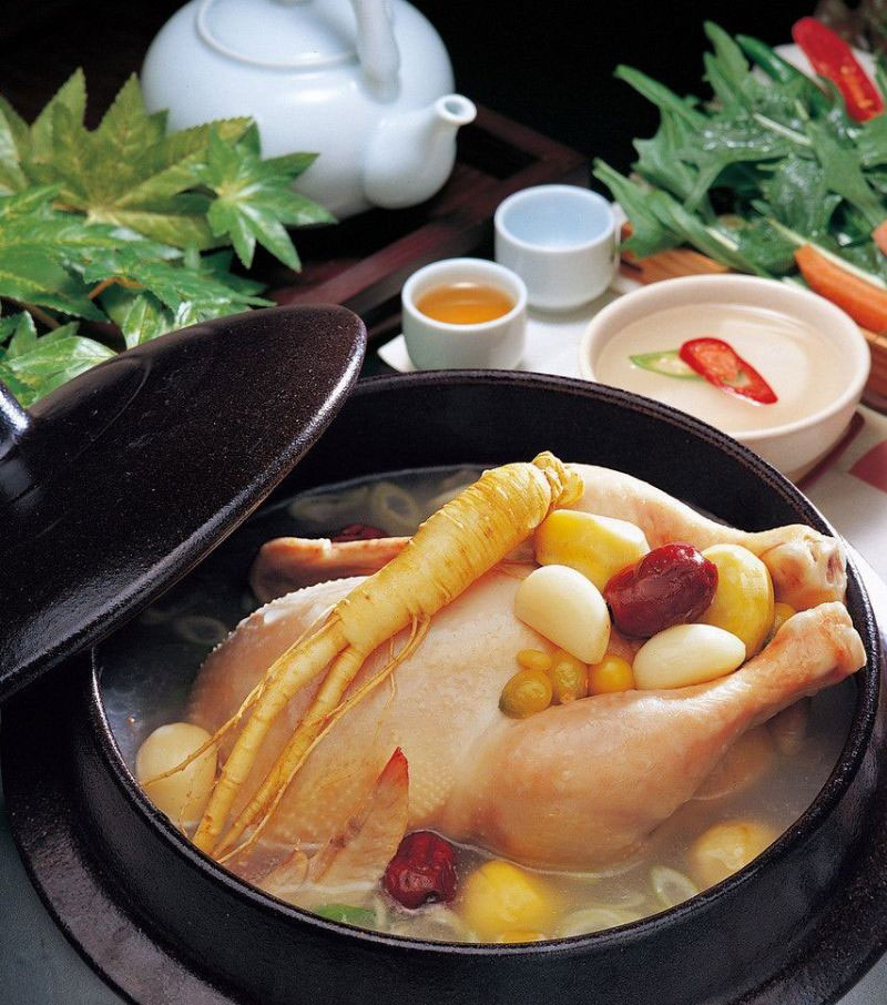 什么炖鸡最好 560a3f114cab4e5fbec32f403066f1d9.jpeg