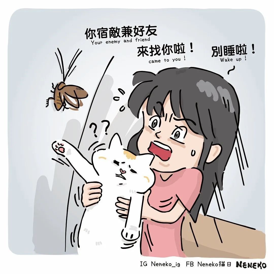 599470a804744c0fb15414fd501dd37d.jpeg