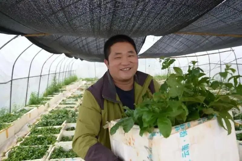 寻乌县有多少人口_寻乌县地图