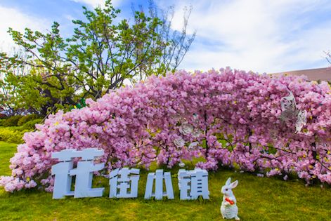 海信花街小镇假如我家有个私人庭院